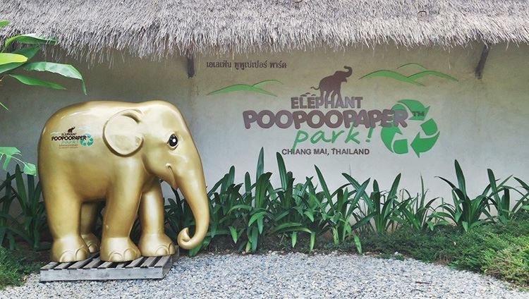 Công viên Elephant Poopoopaper – địa điểm không thể bỏ qua khi đến Chiang Ma